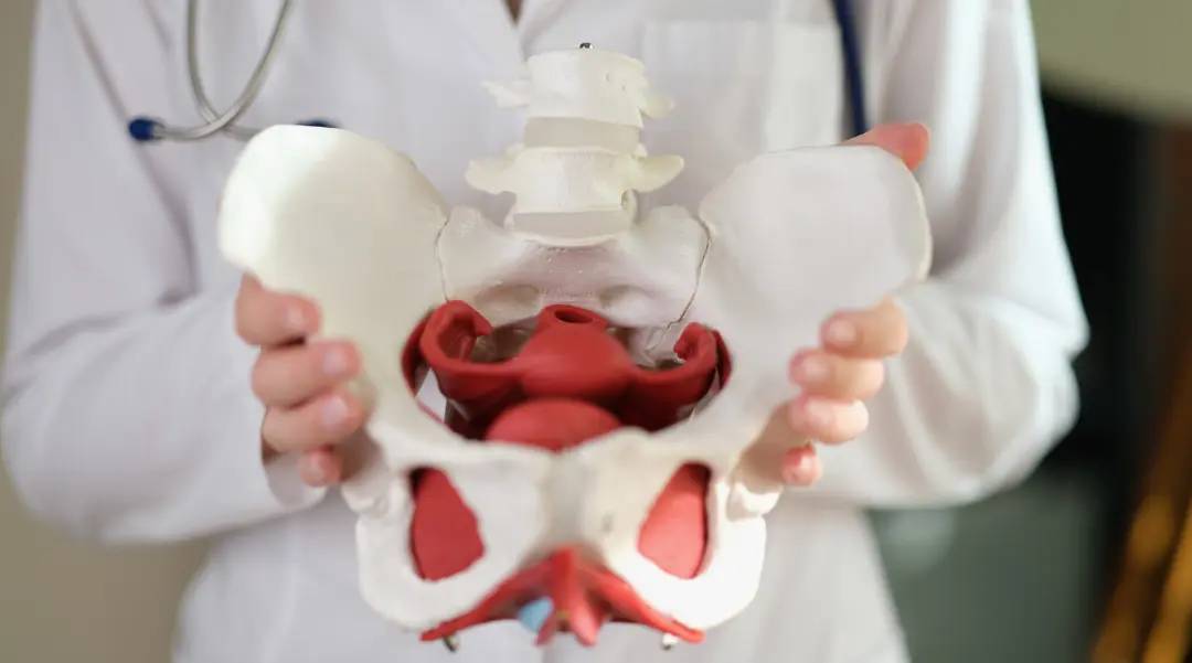Seduta di fisioterapia del pavimento pelvico